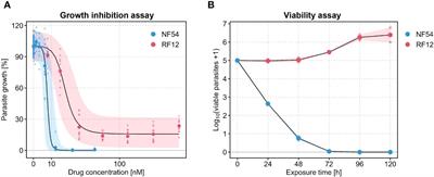 Incomplete Plasmodium falciparum growth inhibition following piperaquine treatment translates into increased parasite viability in the in vitro parasite reduction ratio assay